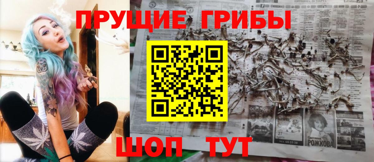 Псилоцибиновые грибы Psilocybe Строитель