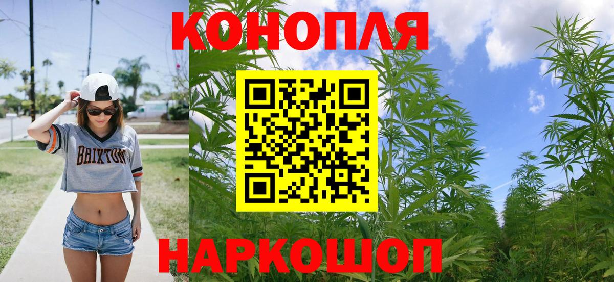 Канабис MAZAR Строитель